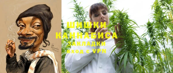 твердый Сатка
