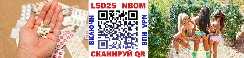 блэк спрут зеркало  Богданович  ЛСД экстази кислота  наркота 