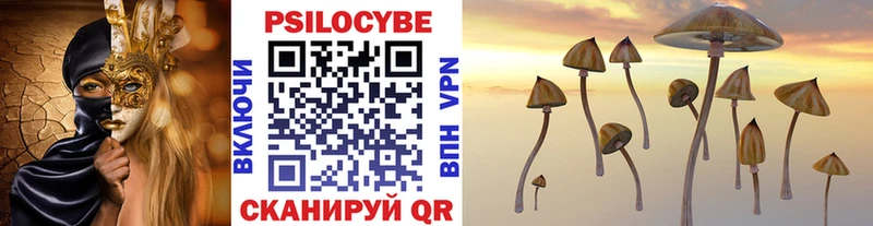 Псилоцибиновые грибы мицелий  купить наркотики сайты  Богданович 