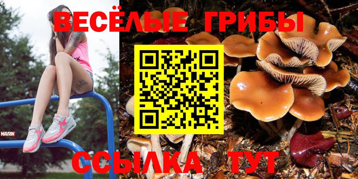 Галлюциногенные грибы GOLDEN TEACHER Богданович