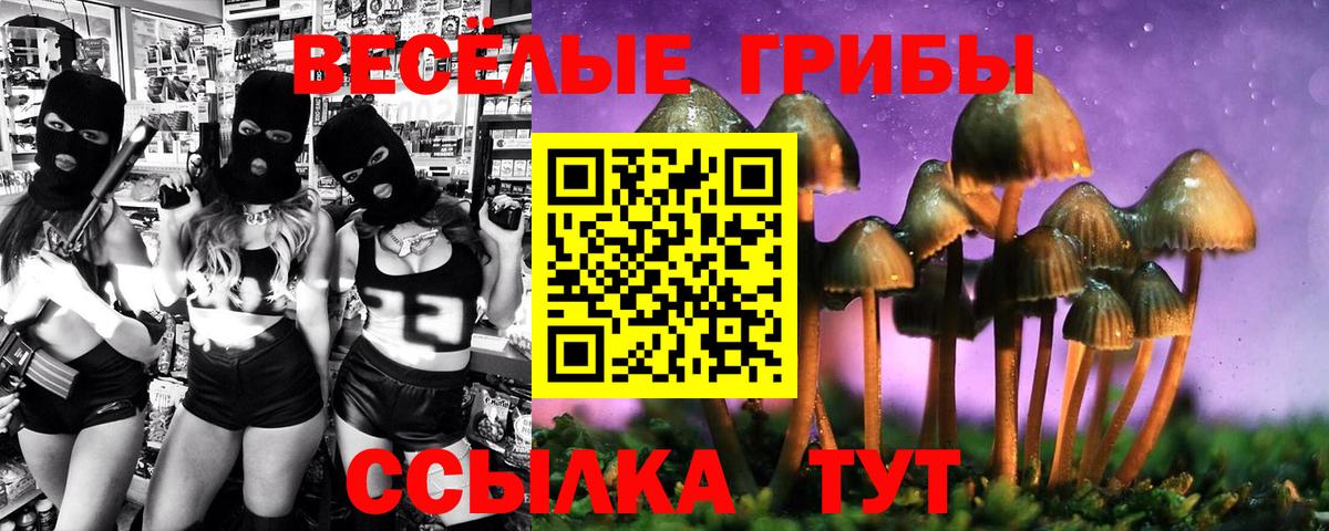 Галлюциногенные грибы GOLDEN TEACHER  Вход с VPN  Галлюциногенные грибы MAGIC MUSHROOMS  Богданович 