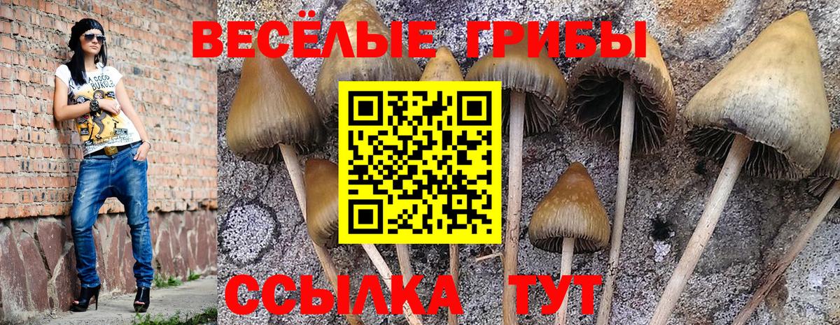 Мефедрон кристаллы  АМФЕТАМИН кристаллы  Cocaine  Вход с VPN  НБОМе  Гашиш  Наркошоп  Бошки Шишки  Богданович  Мефедрон 